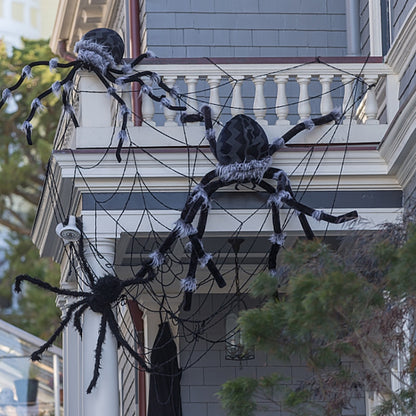 Creepy Giant Spider